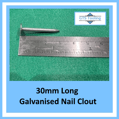 Image of galvanized Clout with a steel rule. 